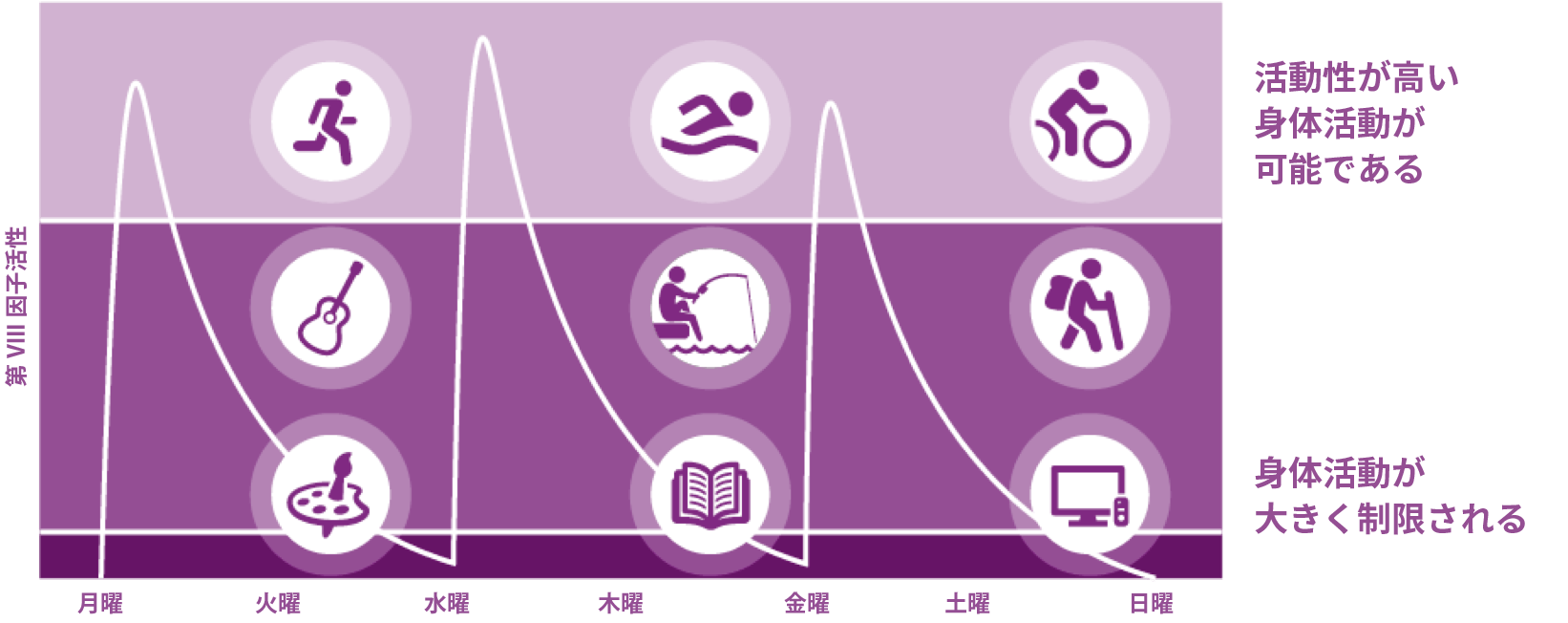 mypkfit_diagram